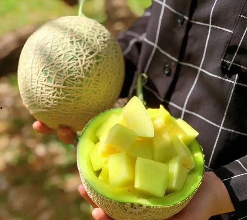 娱乐圈吃瓜壁纸高清,高清揭秘明星幕后生活